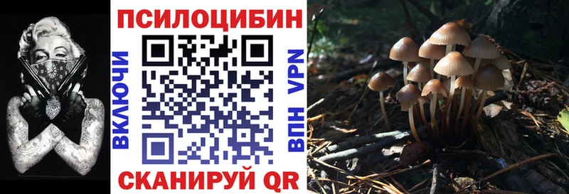 Галлюциногенные грибы Cubensis  даркнет клад  Тбилисская  где купить наркоту 